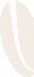coffee-bean-4