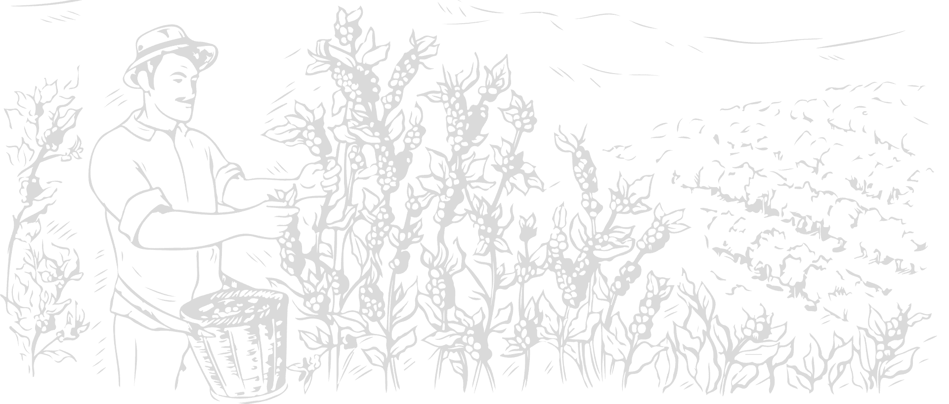 background 4