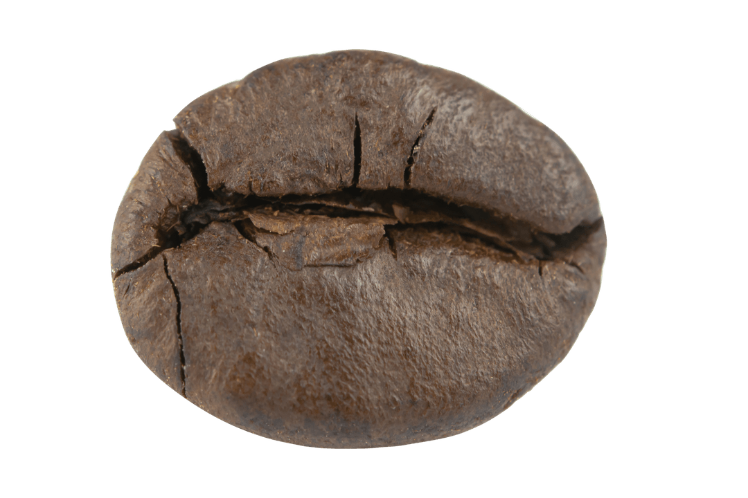 coffee cup
